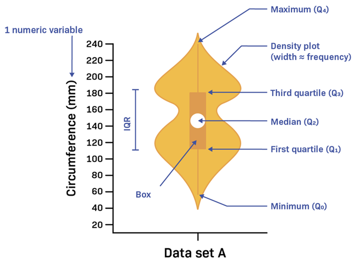 Violin-Plot.png