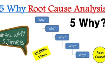 5why